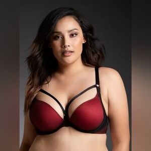 Torrid Red Push-Up Plunge Fishnet Black Lace Straps Bra – 44DD – Plus Size – NWT